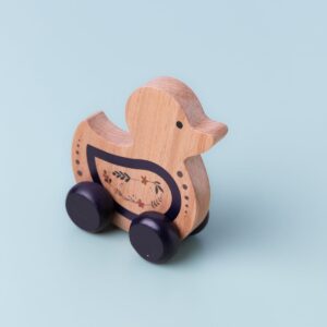 Grow Baby Push Car Bird